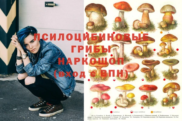 jwh Покровск
