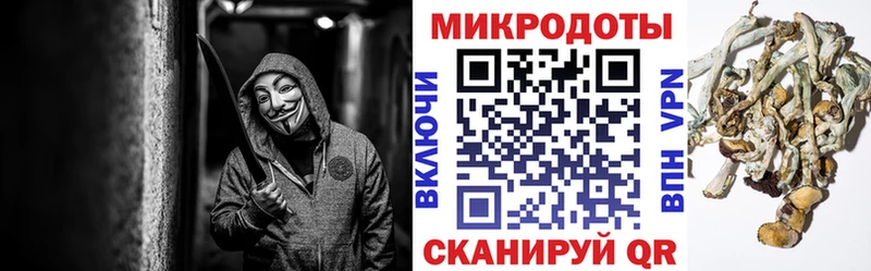 Галлюциногенные грибы мицелий  Шебекино 