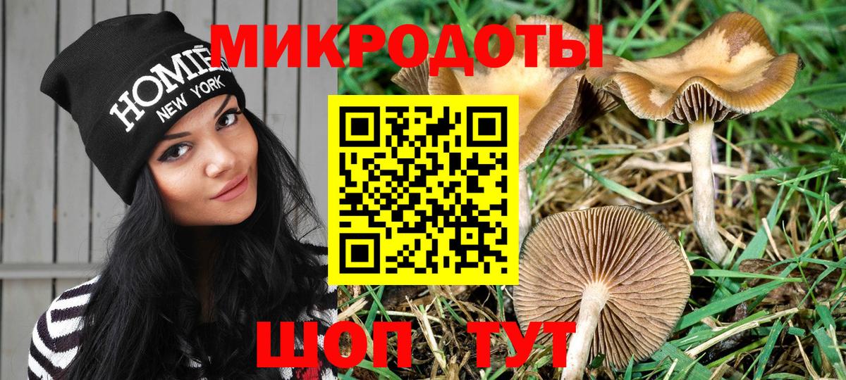 Галлюциногенные грибы мухоморы Шебекино